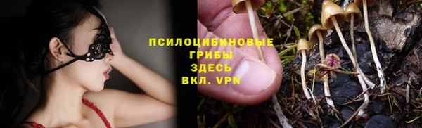 spice Алексин