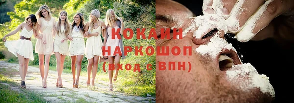 spice Алексин
