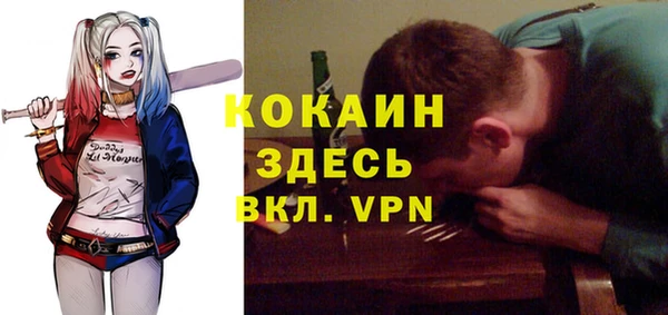 spice Алексин