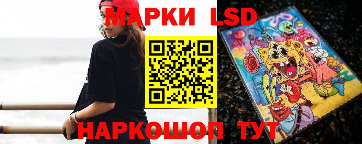 ГАШ Курск