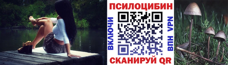 Псилоцибиновые грибы MAGIC MUSHROOMS KRAKEN рабочий сайт Курск