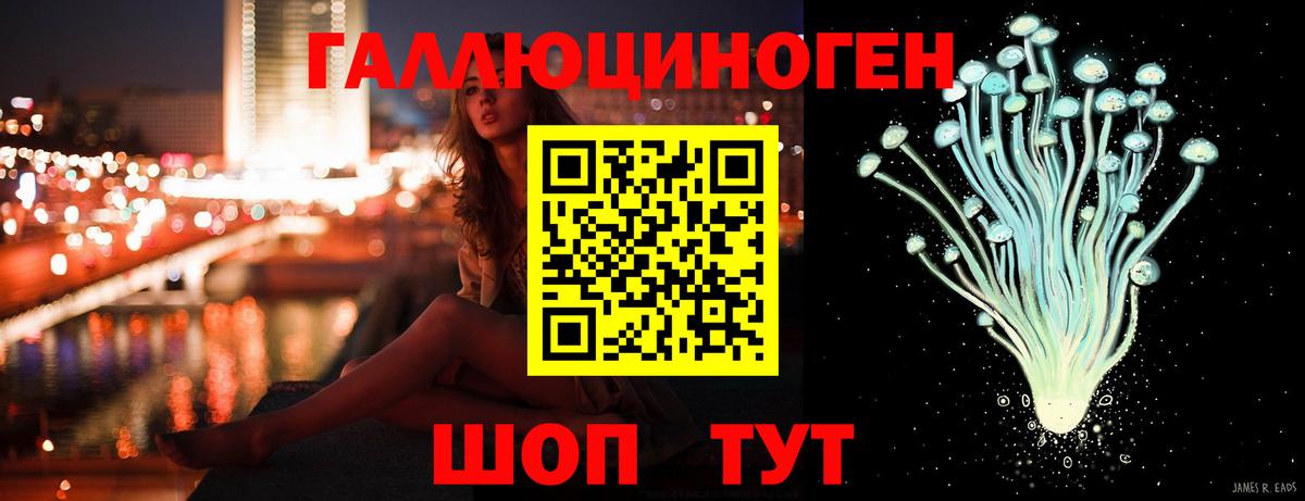 Галлюциногенные грибы Psilocybe Курск
